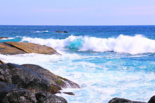 用味蕾感受爱情的酸甜苦辣,用味蕾感受美食独特的魅力