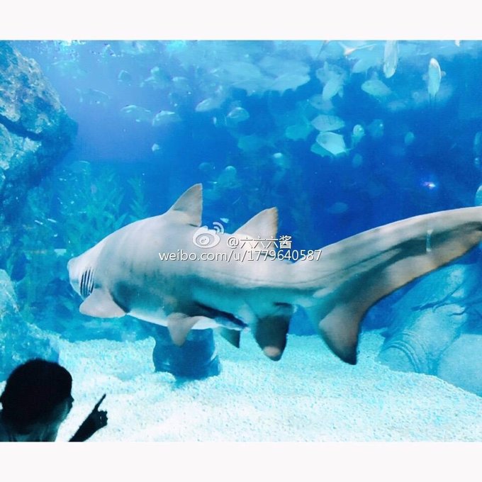 普吉岛7日游价格表大全图,泰国图片普吉岛