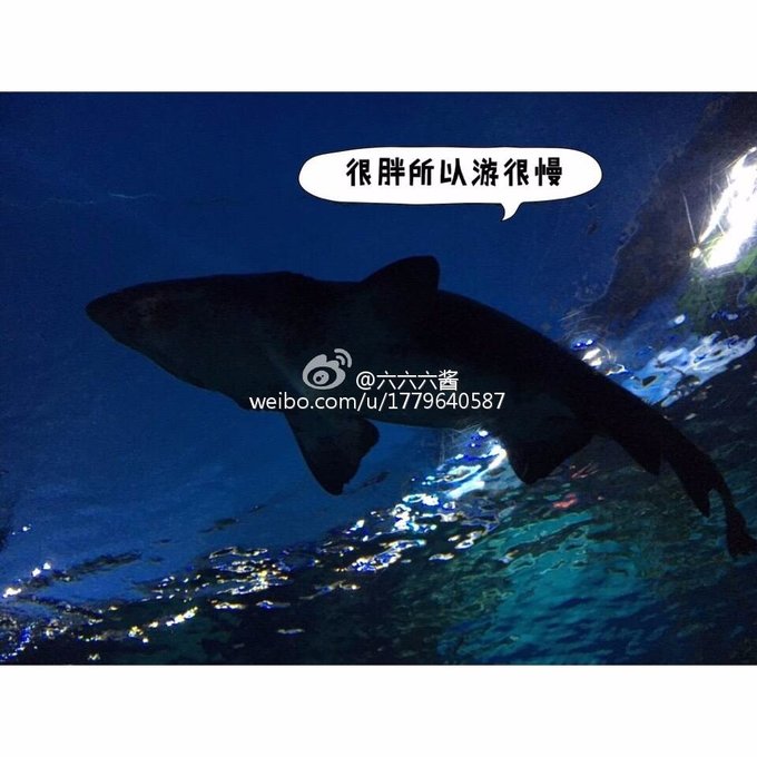 泰国普吉岛3日游攻略2015,泰国曼谷普吉岛照片