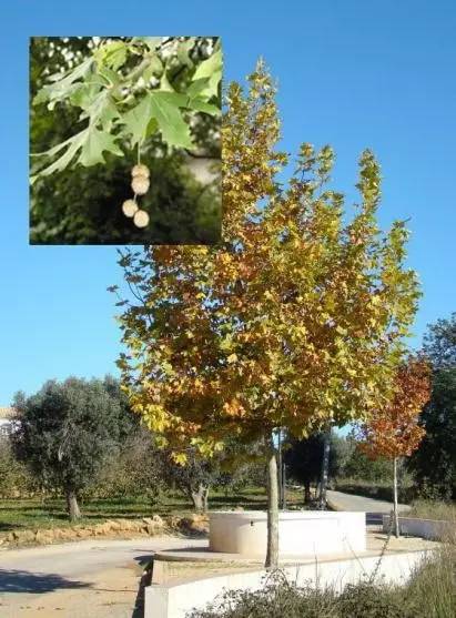 你是不是正宗的淮南人！一道题就能证明！