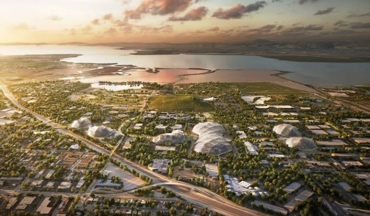 亚马逊植物图片,亚马逊新图像