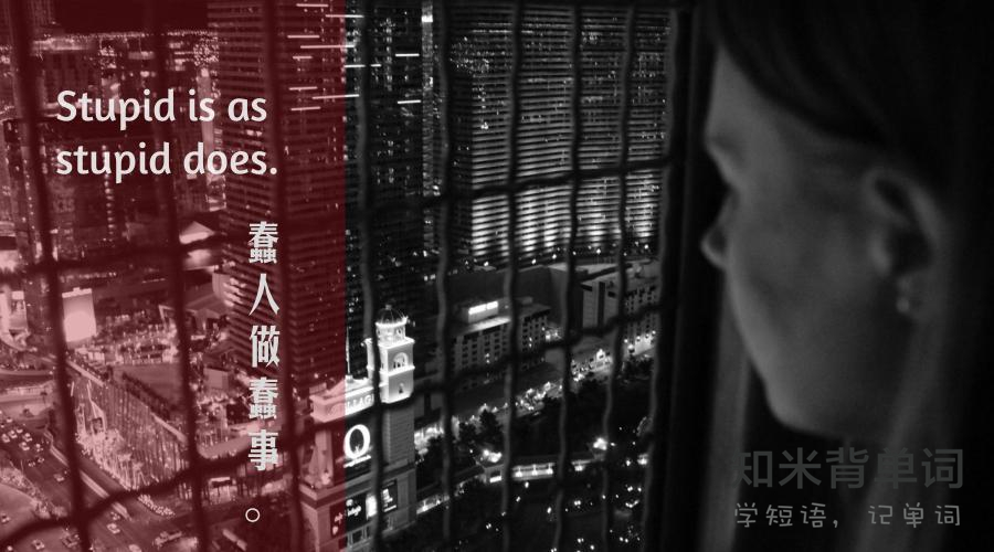 美帝网络用词,美帝网络用语