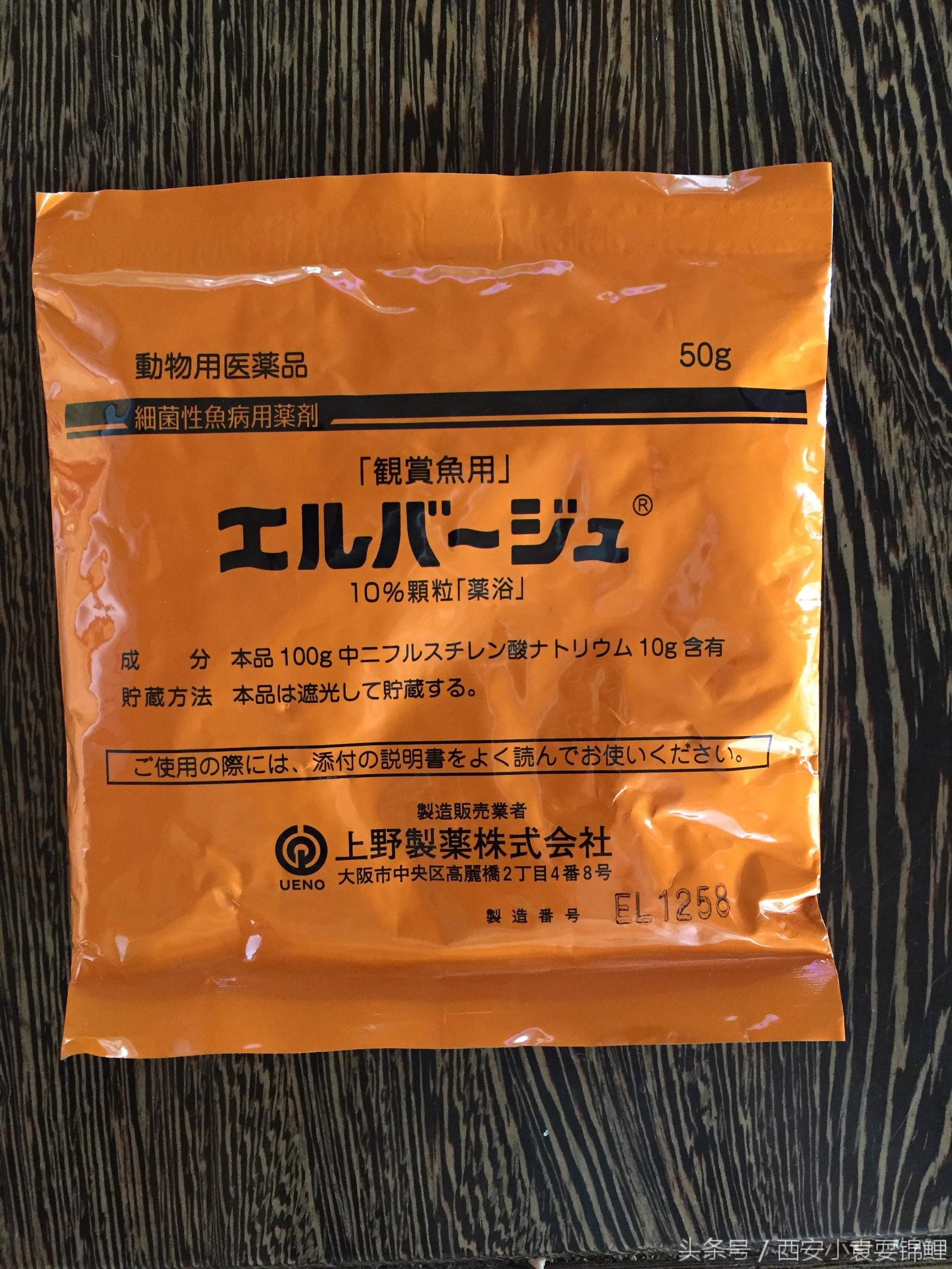 锦鲤黄粉的使用方法,西安小袁的最新视频