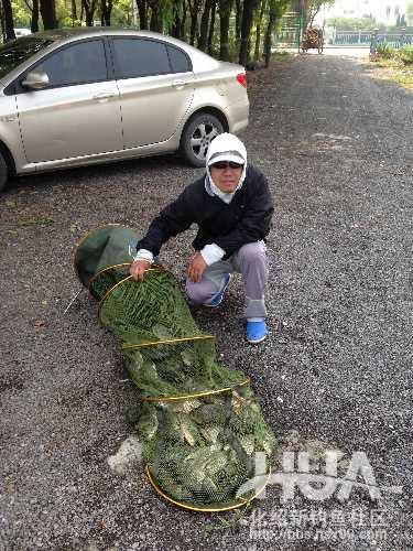 一味浮漂和小凤仙浮漂哪家的好,一味浮漂多少钱一个