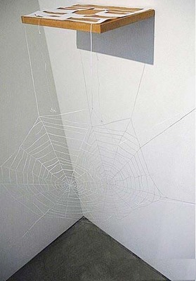 白墙上蚊子血渍怎么去除,黑斑蚊有什么办法驱除