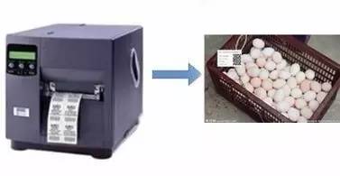 二维码扫出食品来路！黄埔区这些地方将推行试点，怎么才能查到？