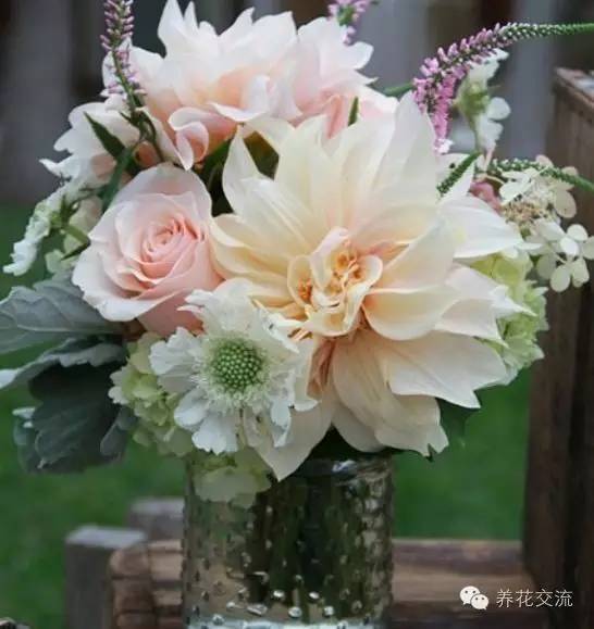 干花制作后怎么用,玫瑰干花怎么做成手工永久保存