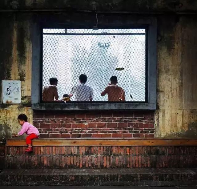 点赞他们的高光时刻,大家用手机拍出过什么好看的照片