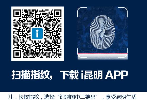 都市时报云南昆明足球,都市时报足球