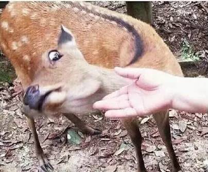 有了这些粉儿，让你从此告别美颜相机