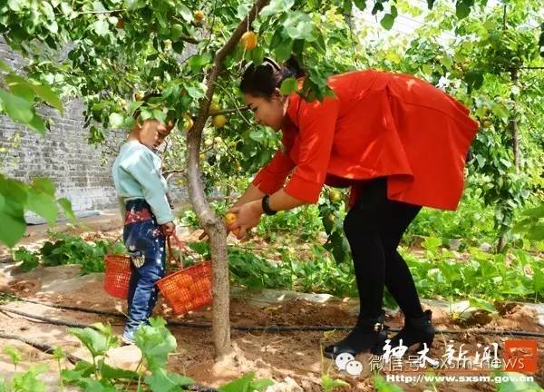 炎炎夏日，小伙伴们神木这几处清凉避暑胜地你去了吗？