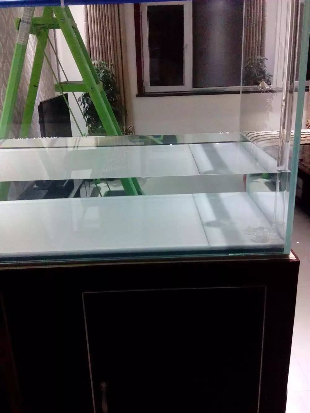 没养鱼有油膜,没养鱼只是在岸上走