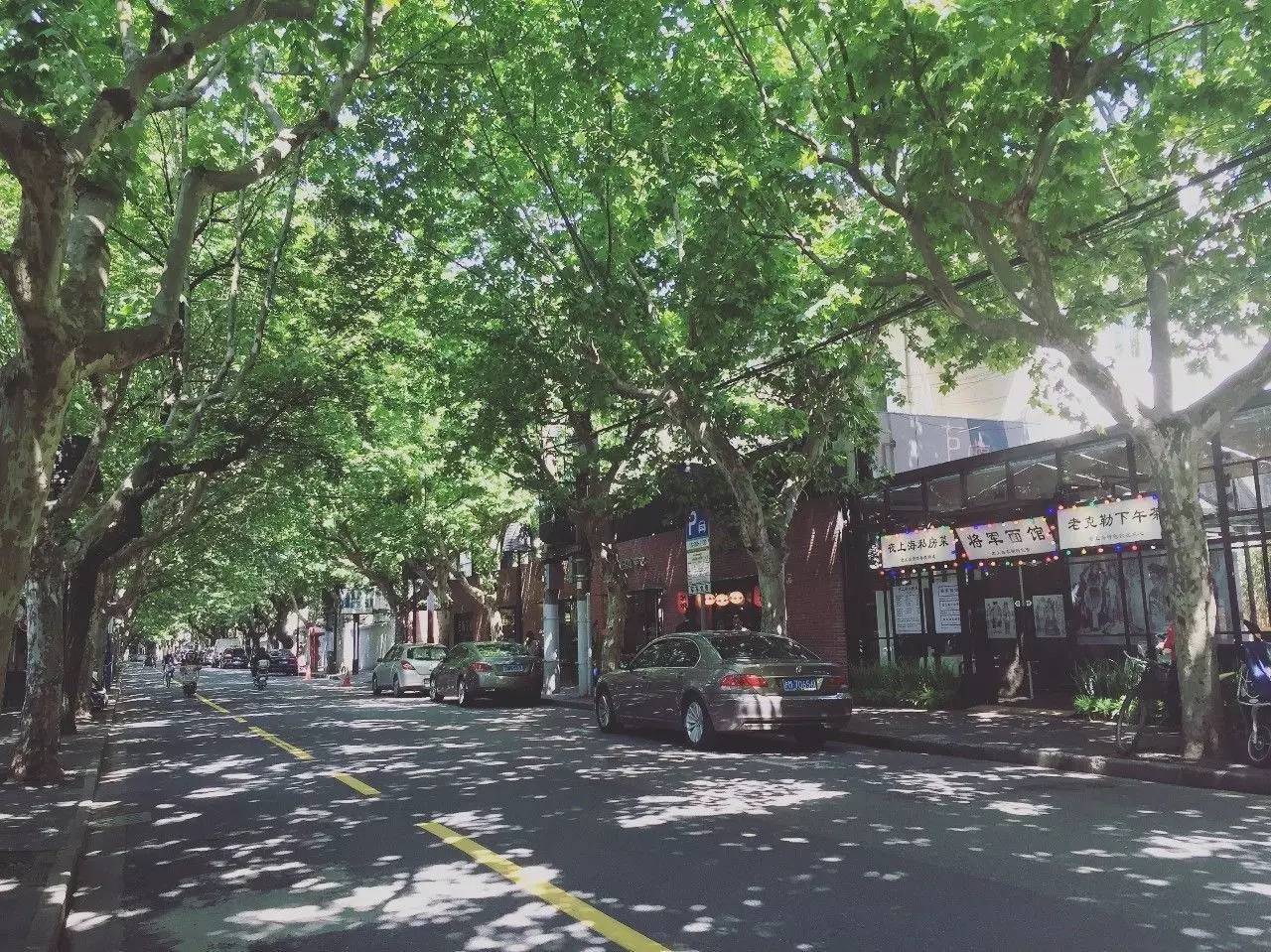 藏在这6个精致去处里的上海,让你从日本穿越到北欧