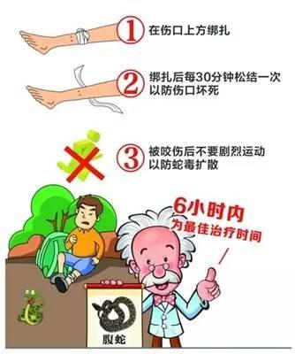 被蛇咬了可以截肢保命吗,救命贴正确方法
