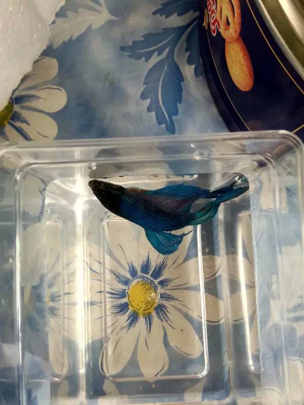 新手独白总结一下那些年我们犯过的错