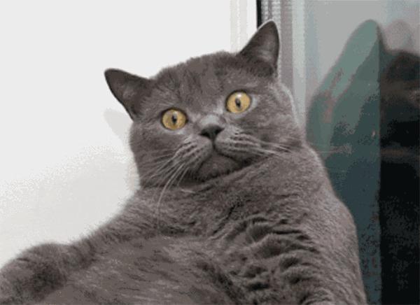 一言不合就堵厕所，小鲜肉你们得带多少保镖才能隔开痴女？！