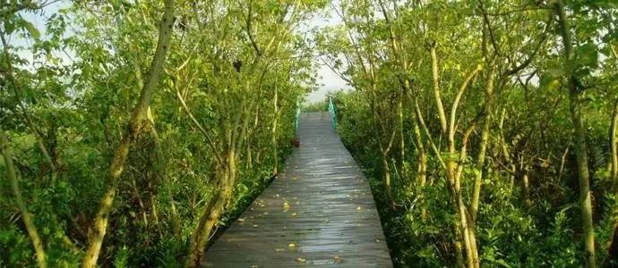 你为什么想留在珠海,你为什么选择来珠海