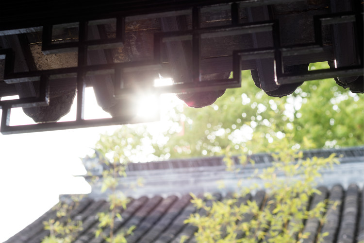 「隐庐」大隐于同里结庐在人境｜库live探店