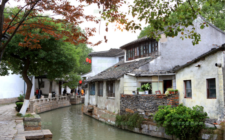 「隐庐」大隐于同里结庐在人境｜库live探店