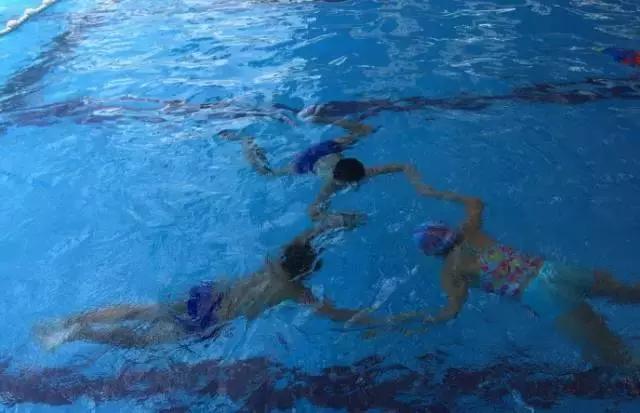 福州省体游泳馆价格一览表,福州最新游泳馆分布图