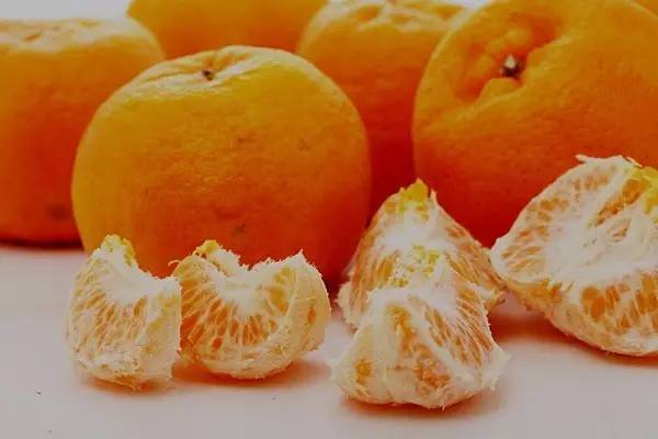 植物果实怎么分类,植物果实的分类