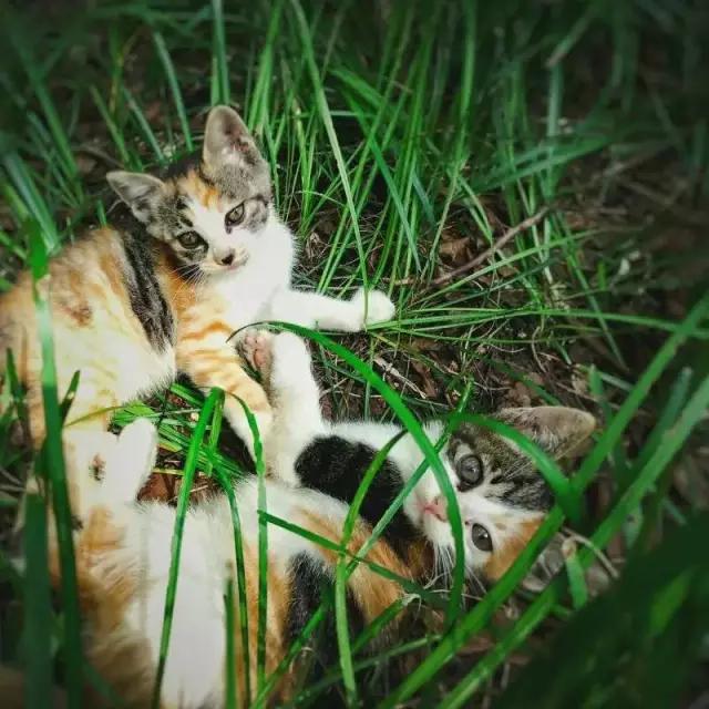 优秀手机摄影作品的五个要素,手机拍的作品