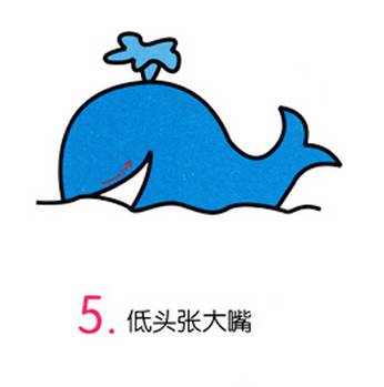 可爱的小鲸鱼简笔画图片大全,梦幻大鲸鱼简笔画怎么画
