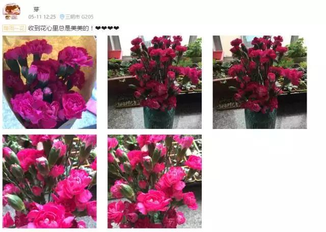 厦门鲜花每周一花,厦门每周一束鲜花订花平台