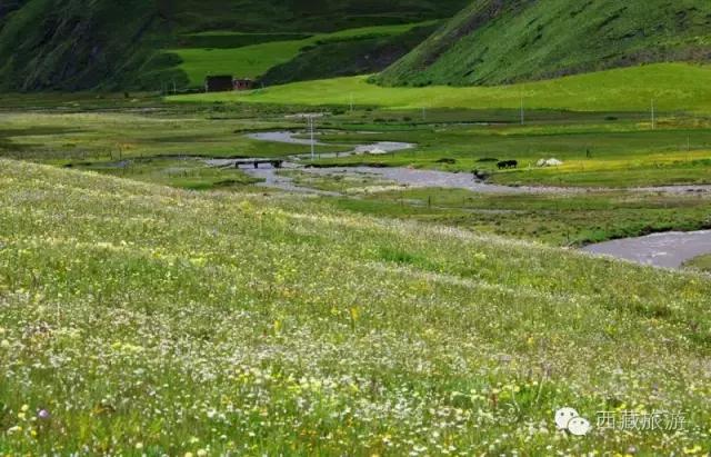 川藏南线进藏十天旅游线路,川藏南线进藏行程