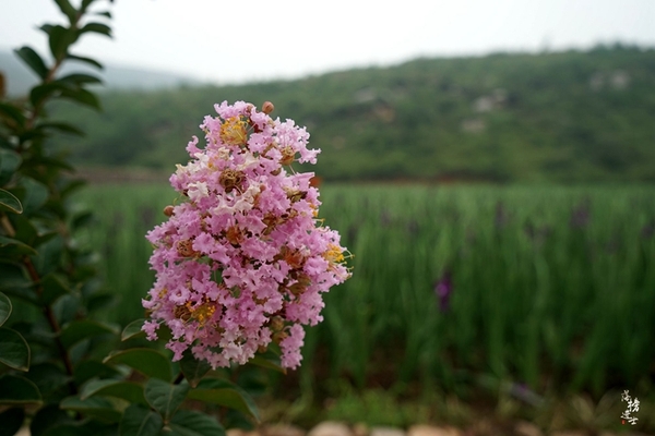 行走红石沟，入眼皆是画