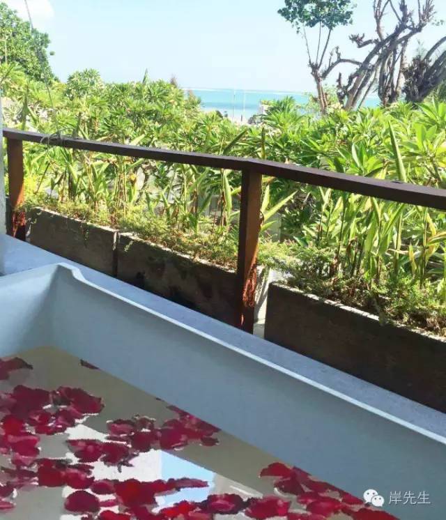 巴厘岛小众一日游,巴厘岛旅游攻略spa