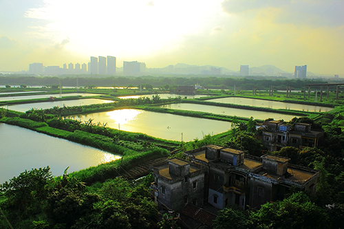 顺德农庄美食推荐,顺德有哪些好吃的山上农庄