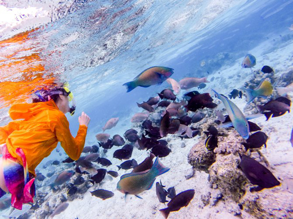 塞班岛可以自由行吗,塞班岛旅游如何