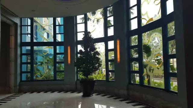 迪士尼好莱坞酒店门口有海边么,迪士尼好莱坞酒店要门票吗