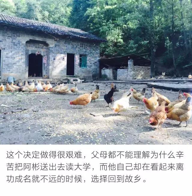 大概认识这个男人后，所有人都想做一只鸡。