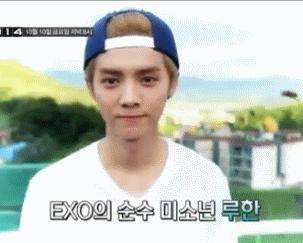 鹿不羁视频完整版,鹿不羁原创