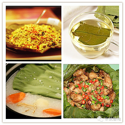 莲花很美,莲花应该怎么吃