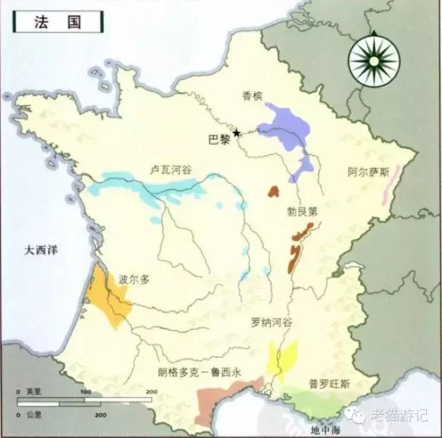 雷司令是葡萄品种还是酒品种,雷司令是红葡萄吗