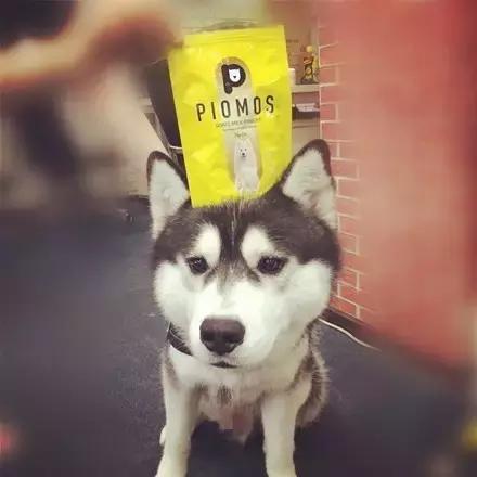 肿么办,就是超爱喝这款山羊奶粉拦都拦不住!