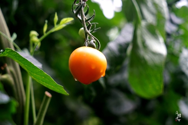 行走红石沟，入眼皆是画