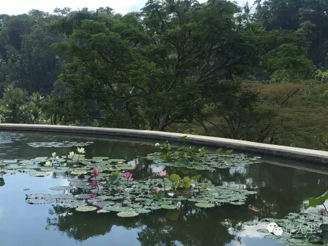巴厘岛六天自由行攻略,巴厘岛旅游攻略spa
