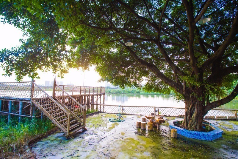顺德农庄美食推荐,顺德有哪些好吃的山上农庄