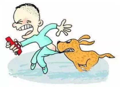 昆虫飞进耳朵里怎么才能弄出来,昆虫飞进耳朵怎么办