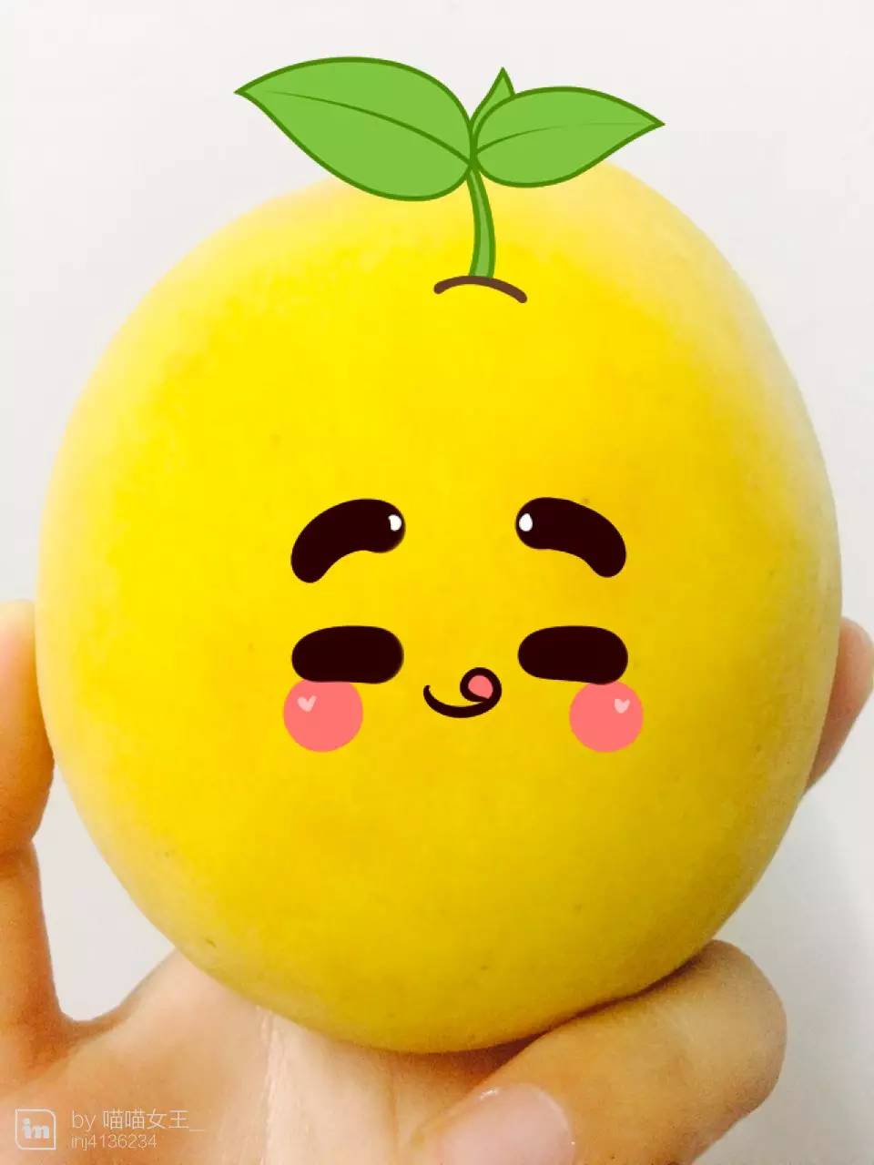 上海松江哪里好玩又免费的,六月松江游玩路线攻略