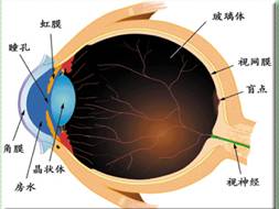 辟谣特工队|一招恢复视力，敢信吗？