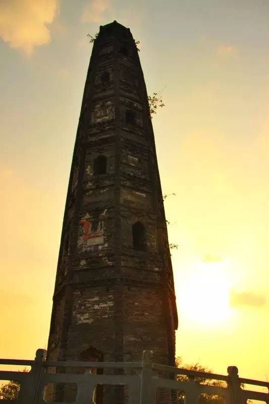 上海松江哪里好玩又免费的,六月松江游玩路线攻略