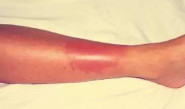 台风尼伯特福建狂风暴雨,台风尼伯特路径将影响的城市