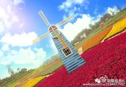 2015年荣昌人必做的18件事，你做过几件？2016年你还要做哪些事？