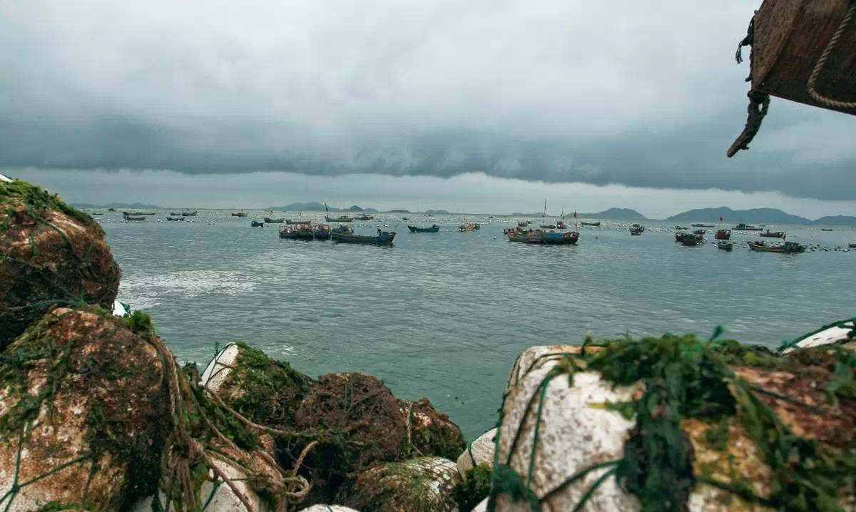 舟山自驾游5天攻略大全图,舟山群岛自驾攻略最佳线路