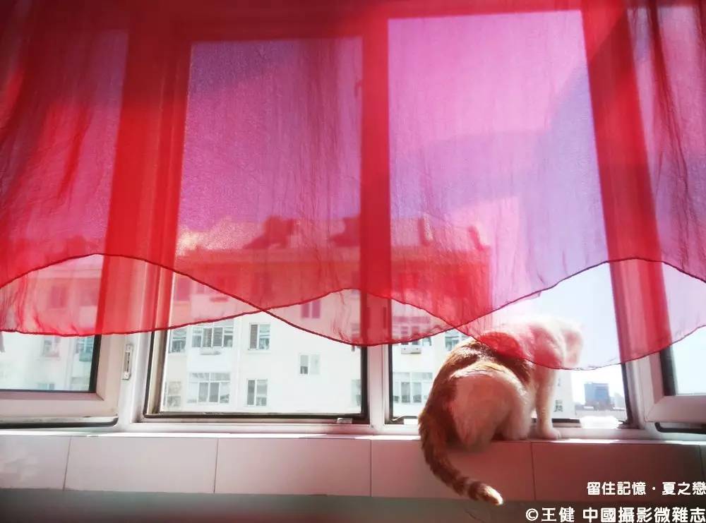 夏之恋全部图片,夏之恋完整版mv